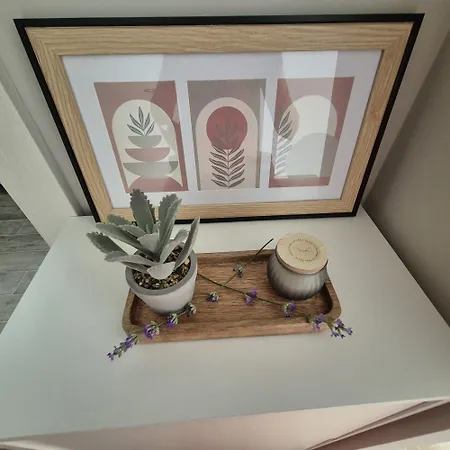 Palaz كونستانتا